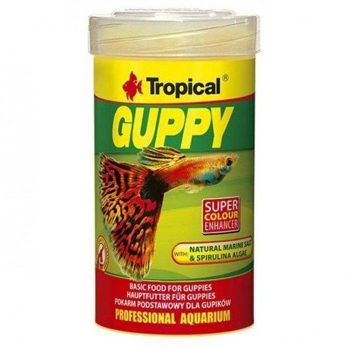 Guppy fish food discount